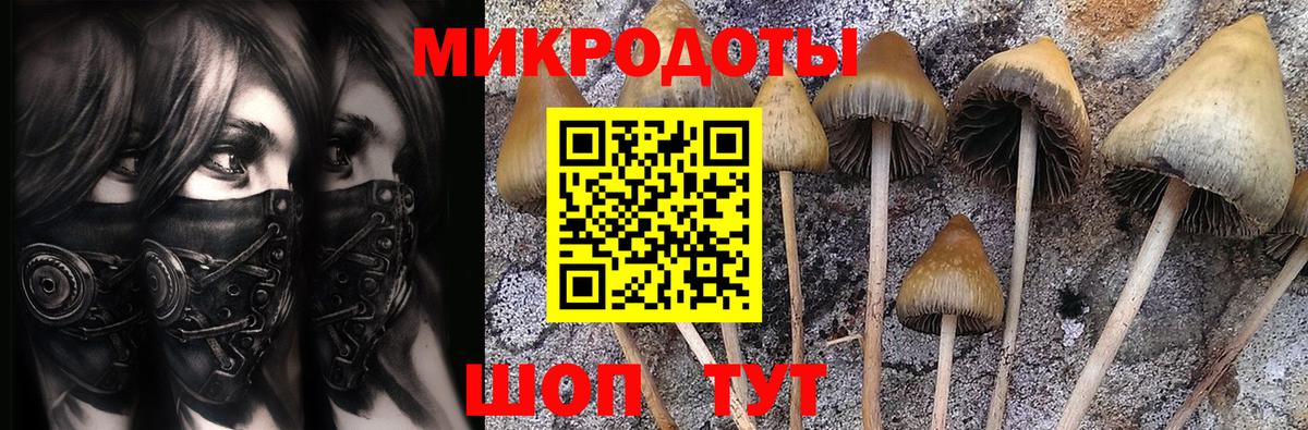 Псилоцибиновые грибы Magic Shrooms Надым