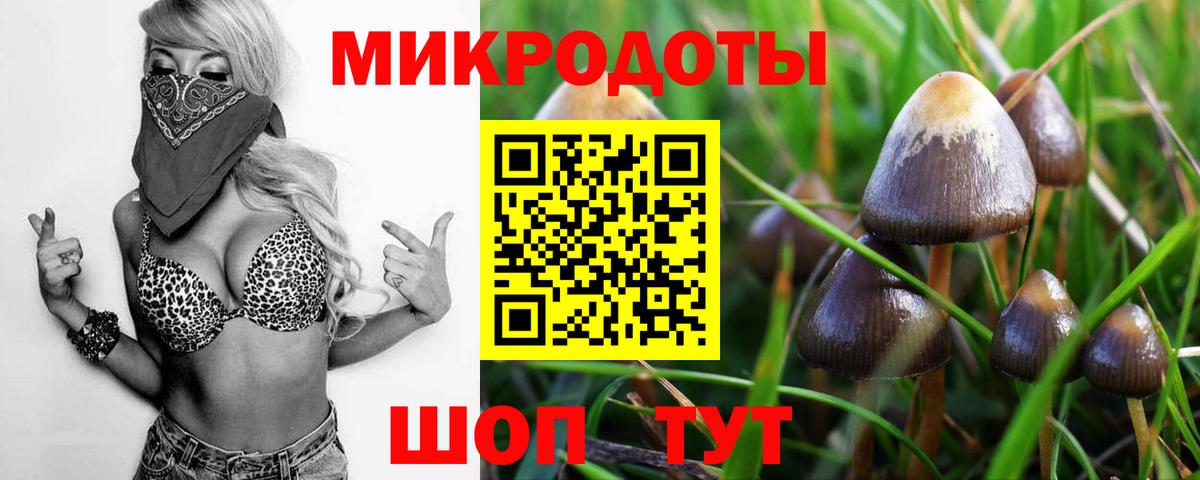 Псилоцибиновые грибы Psilocybine cubensis  Вход с VPN  Надым 